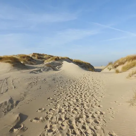 On Texel With Private Terrace * De Cocksdorp (Texel)