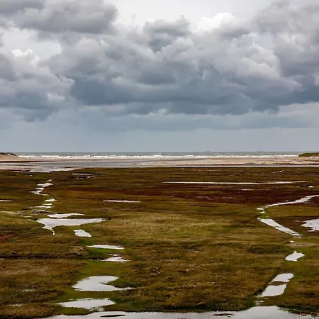 On Texel With Private Terrace Hébergement de vacances