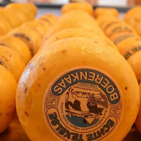 Vakantiehuis On Texel With Private Terrace *