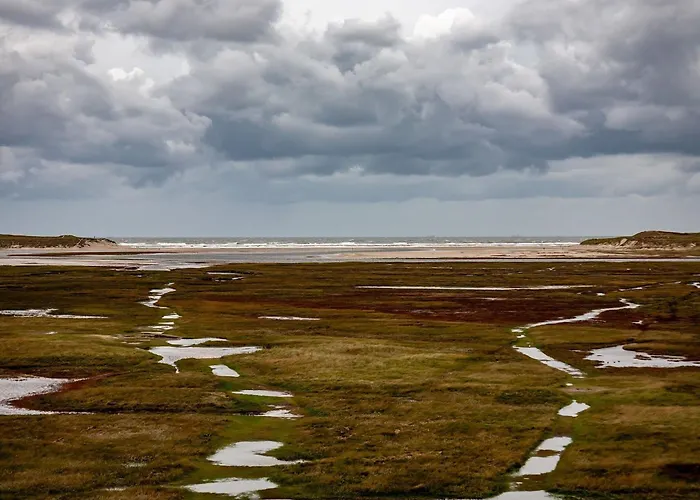 On Texel With Private Terrace Holiday home