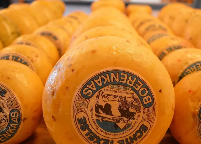 Holiday home On Texel With Private Terrace *