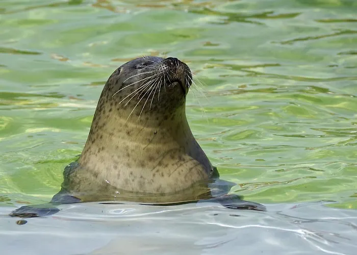 Holiday home On Texel With Private Terrace *