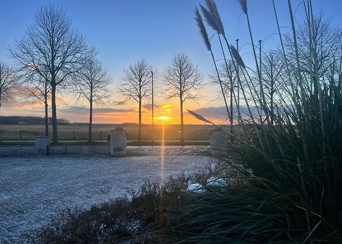 On Texel With Private Terrace *